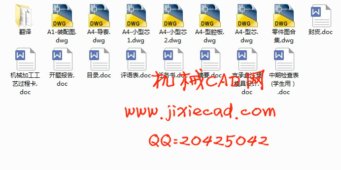 支承盘注塑模具设计【一模两腔】【说明书+CAD】